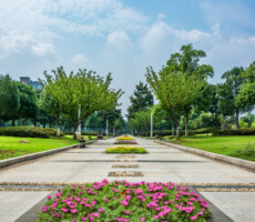 Park in china